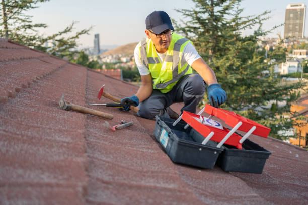 Best Stucco Siding  in Sun Prairie, WI